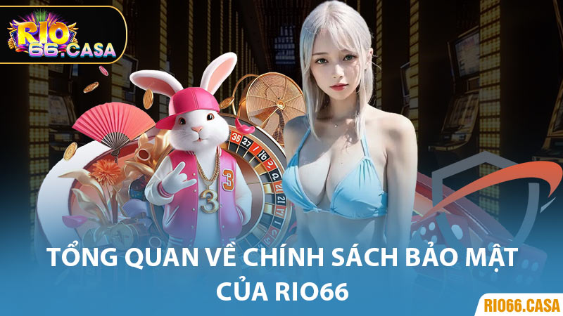 Tổng Quan Về Chính Sách Bảo Mật Của Rio66