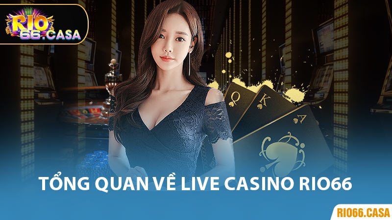 Tổng Quan Về Live Casino Rio66